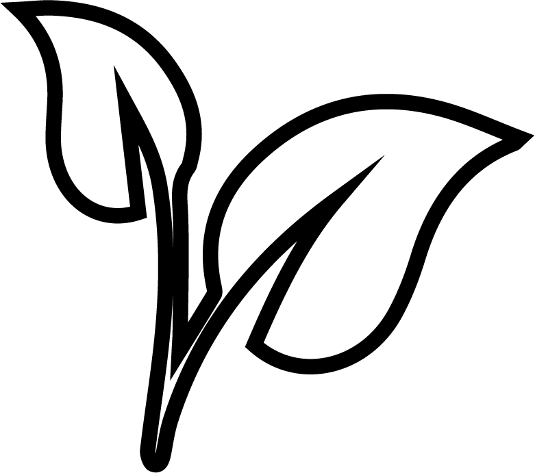 Asset 5